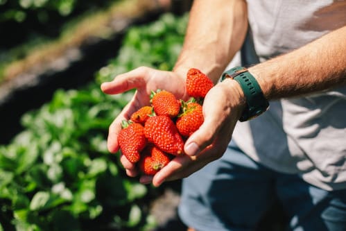 7 trải nghiệm độc đáo khi du lịch  Australia - 1