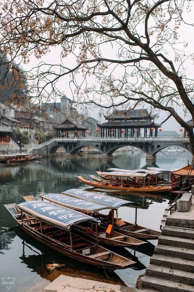 tour-truong-gia-gioi-phuong-hoang-co-tran