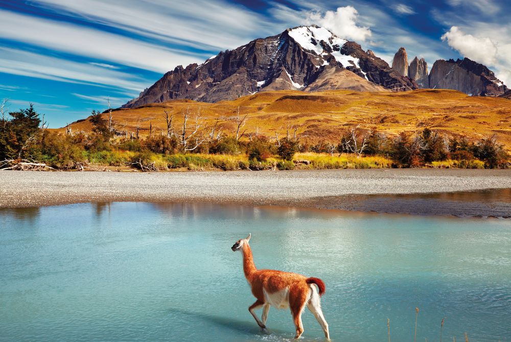 chile-mien-visa