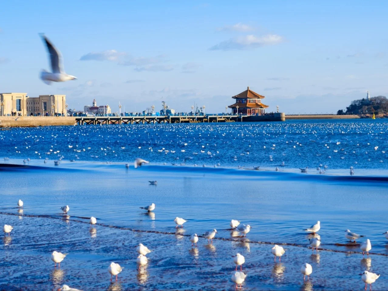 ben-tau-zhangqiao