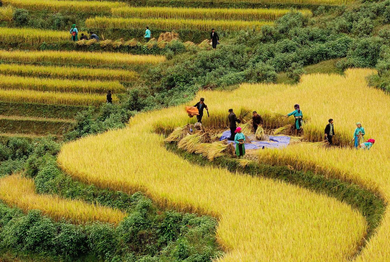 sapa-viet-nam