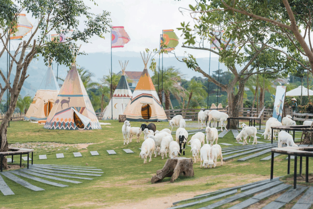 mongo-land-dalat