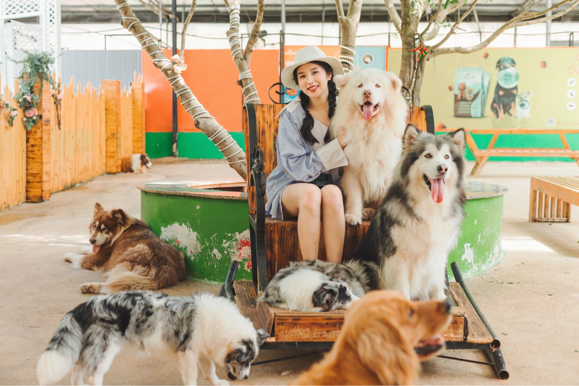 puppy-farm-dalat
