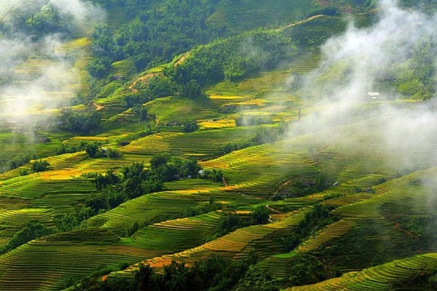 Gallery - Sapa Vietnam
