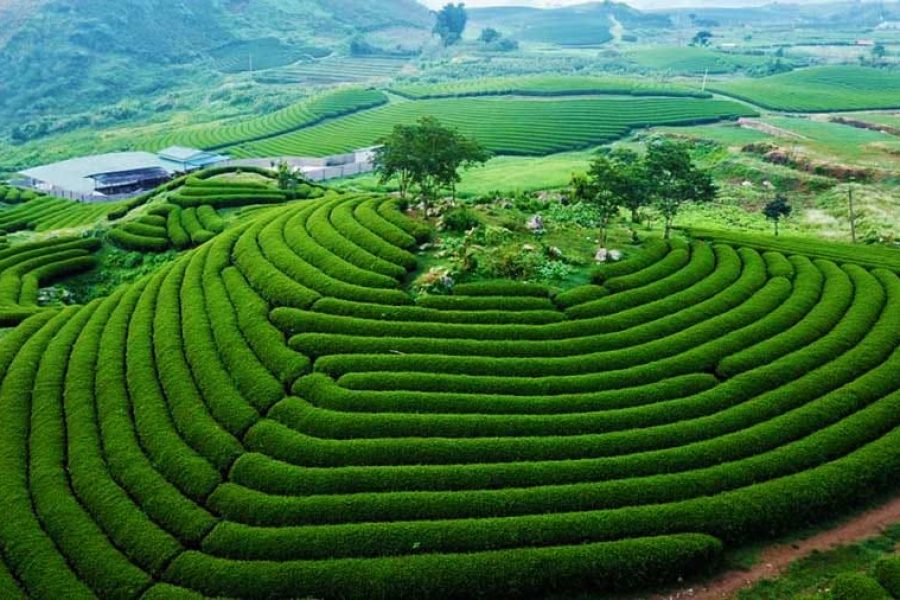 ???????????????????????????????????