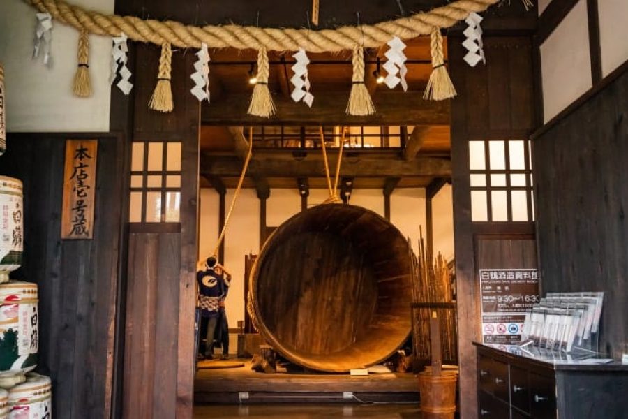 bao-tang-ruou-b