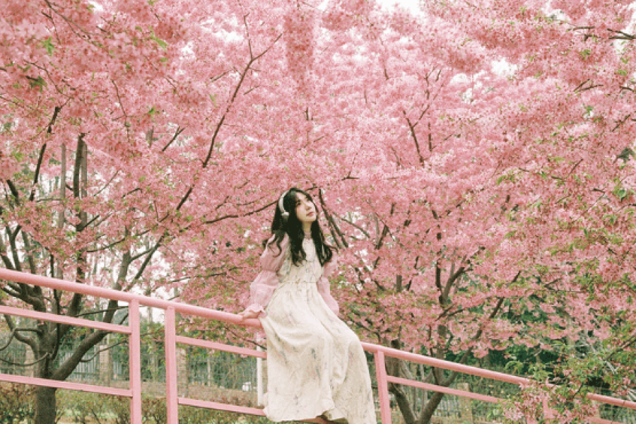 ivivu-trang-vien-man-hoa-thanh-do-trung-quoc