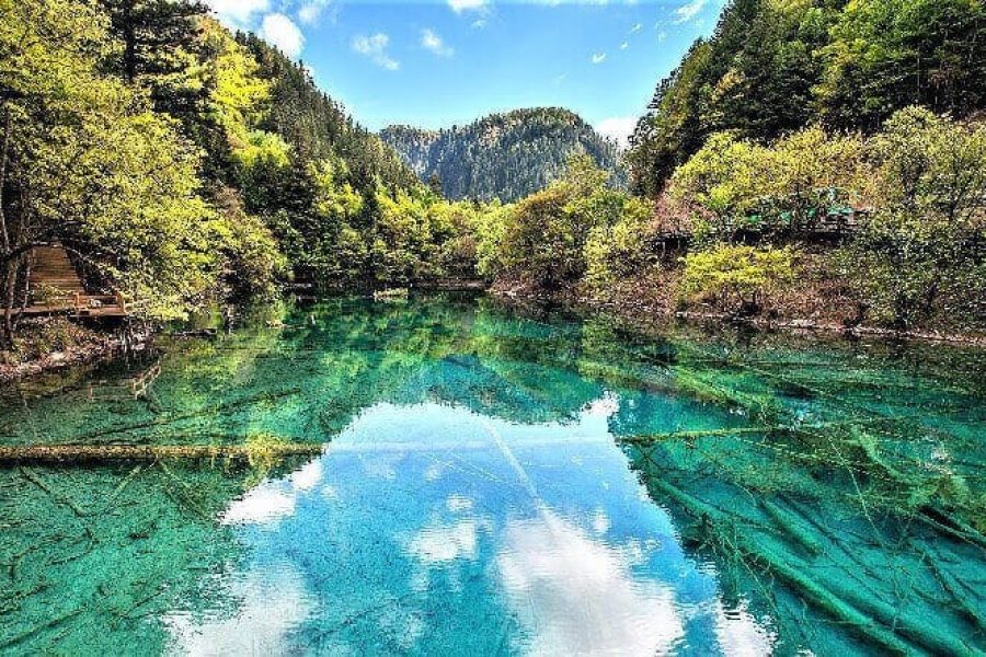 kinh-nghiem-du-lich-cuu-trai-cau-cuc-day-du-va-chi-tiet-202206021453412302