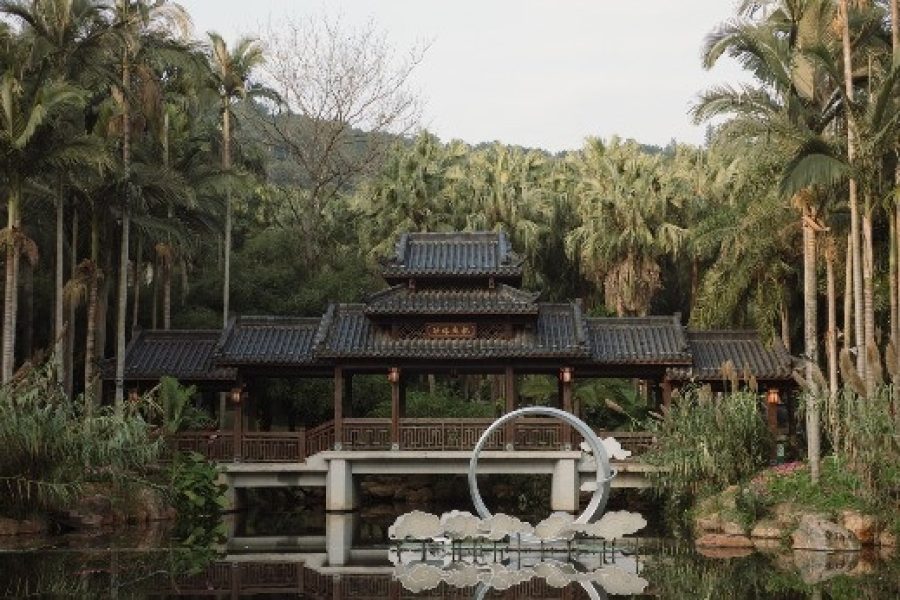 lac-loi-trong-cong-vien-tuoi-mat-trong-lanh-o-thanh-pho-xanh-cua-trung-quoc-627