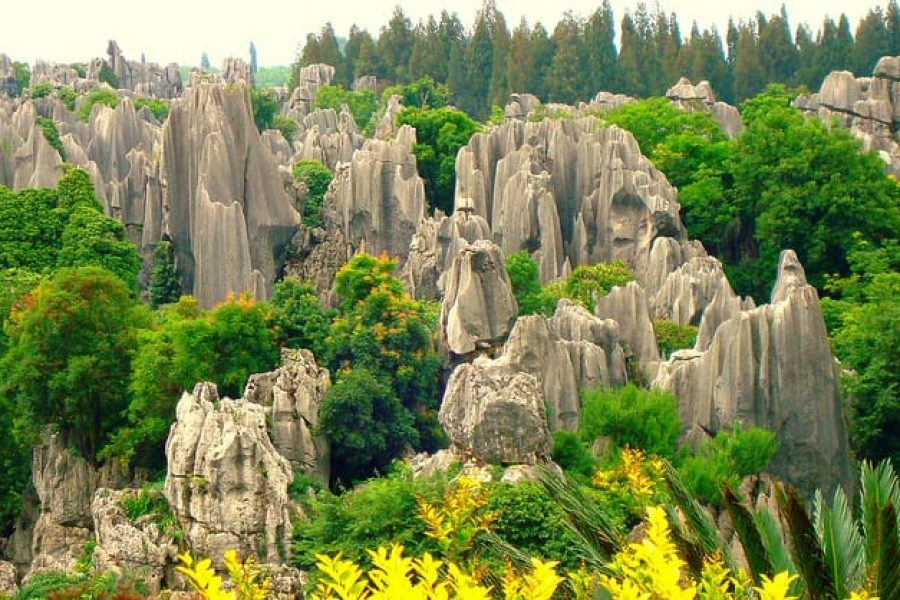thạch lâm