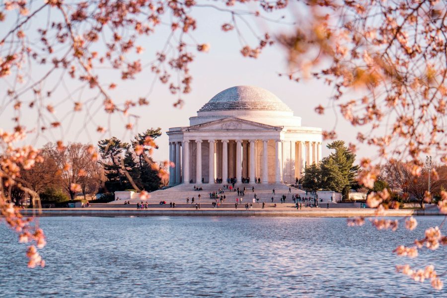 thomas jefferson memorial cherry blossom washington dc grant-czerwinski